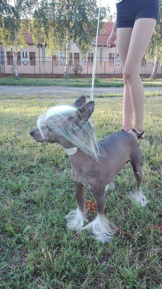 Carlos Black&White Border