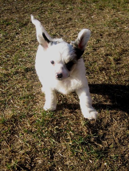 Kaunisvirran Quicksand