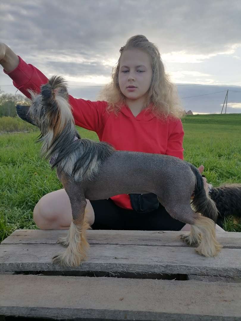 Endless Kiss Melangelica