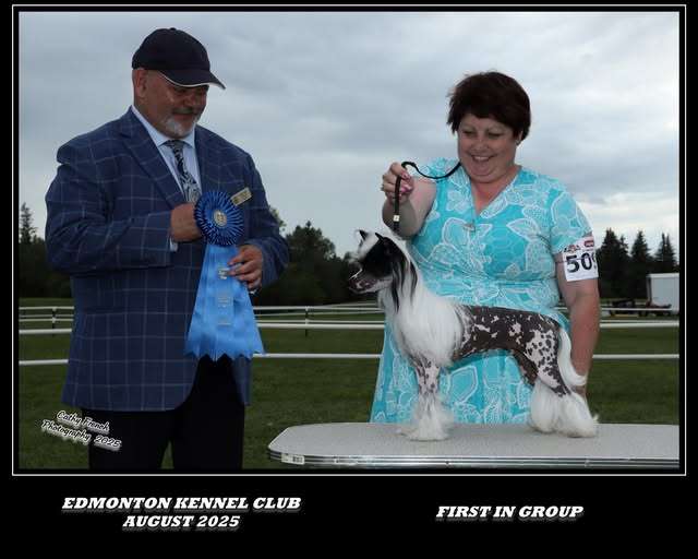 Halostar N Shantel's He Said She Said