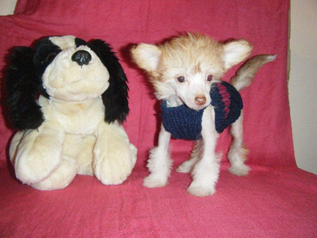 Pariansoez Eastern Promise