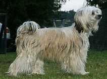 Sun-Hee's Mason Gold