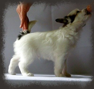 Barry White Athel Loren