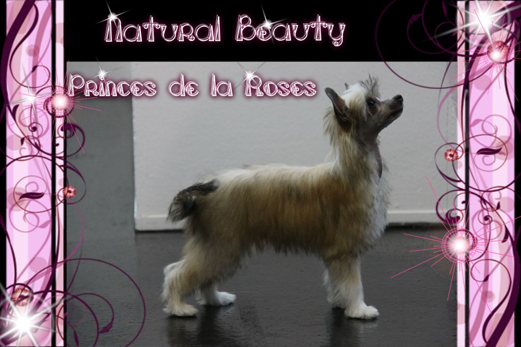 Natural Beauty Princes de la Roses