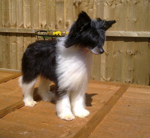 zerachiel pearls of wisdom