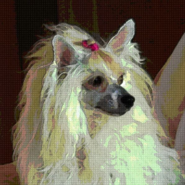 Bodeswell So Deer to Me