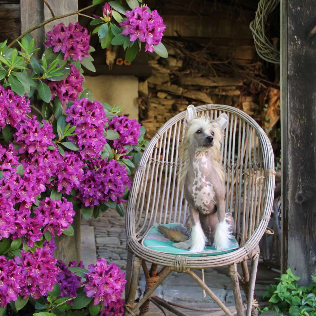 Coffee So Close To Blue