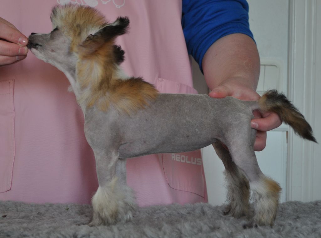 Speechless Poker Face