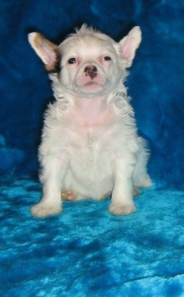 Orero Lovely Yuvey Kahn