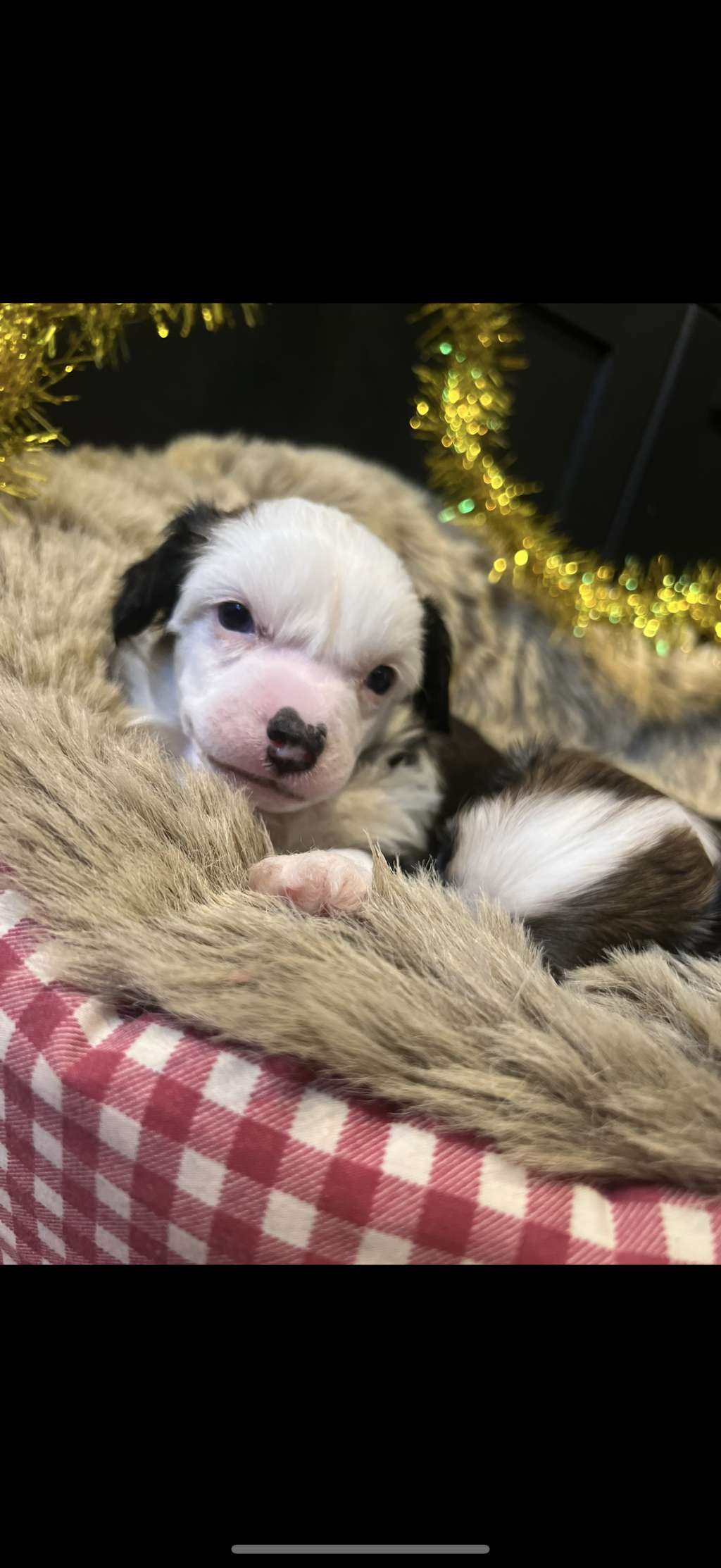 When The Lightning Strikes