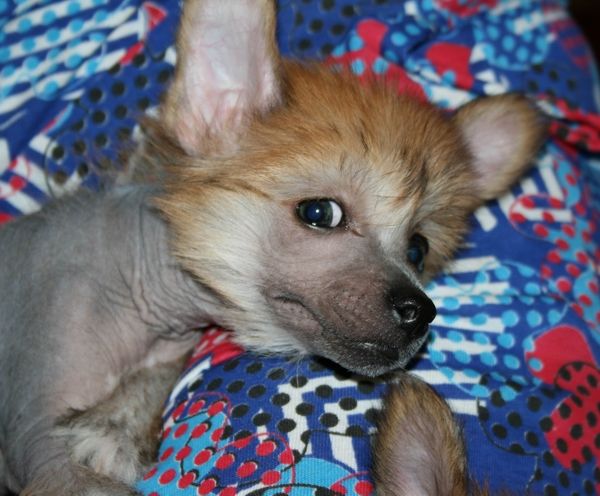 Alfa Laval You Out This World