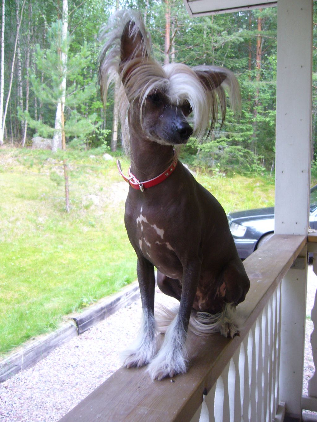 Dark Secret Hot Chocolate