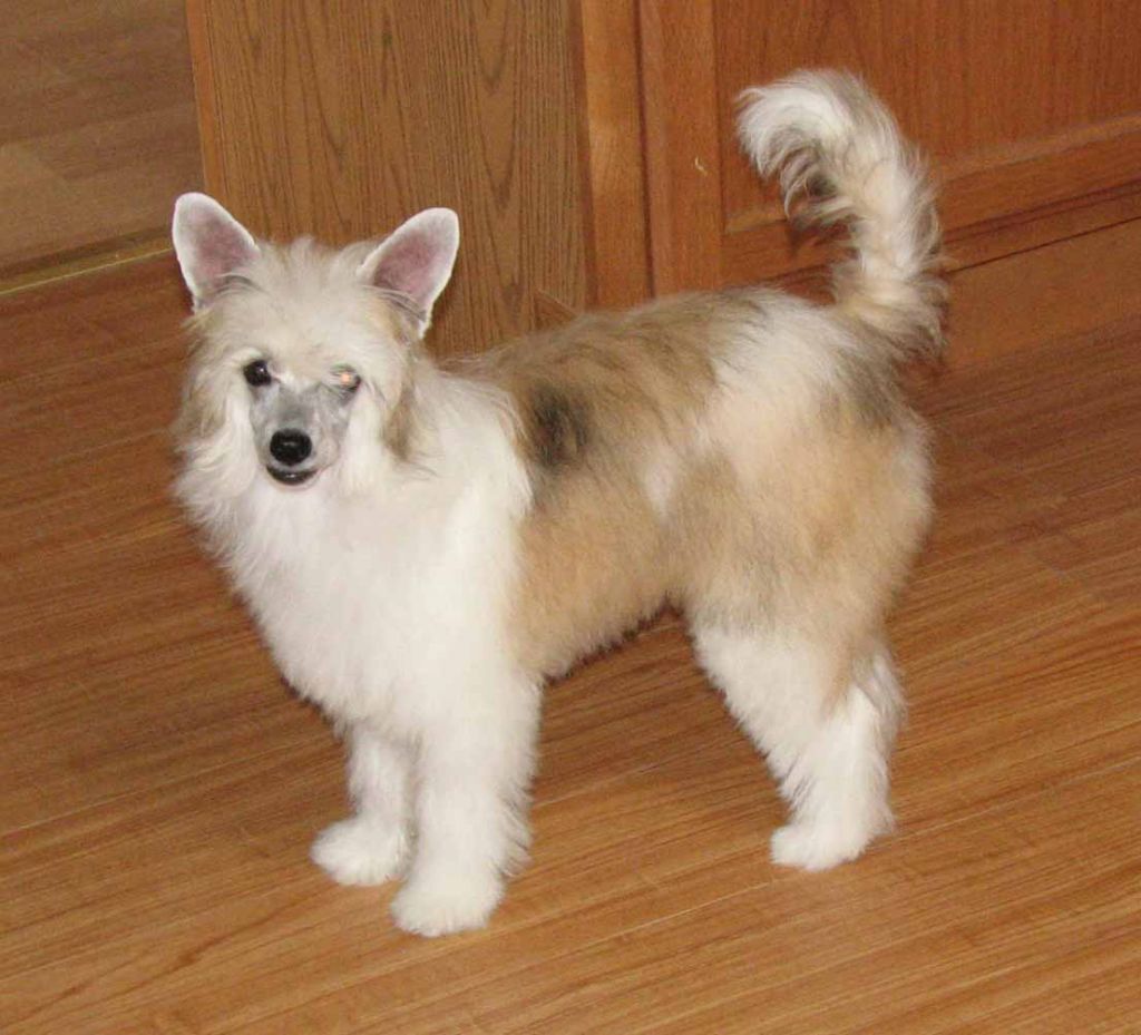 Crest-Vue's Maid To Order