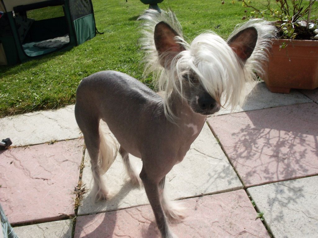 Sigyns Twist And Shout With Clanest