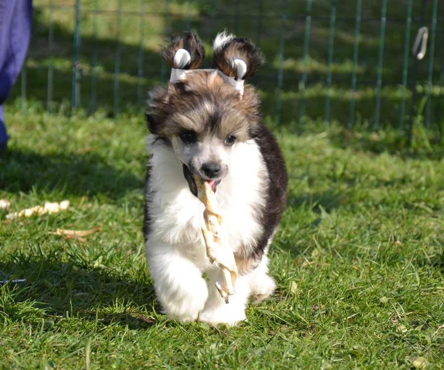 Myrtans Bubbleubble Kicks Some Ass