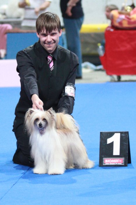 Beatrice Lady Nezkrotna markyza