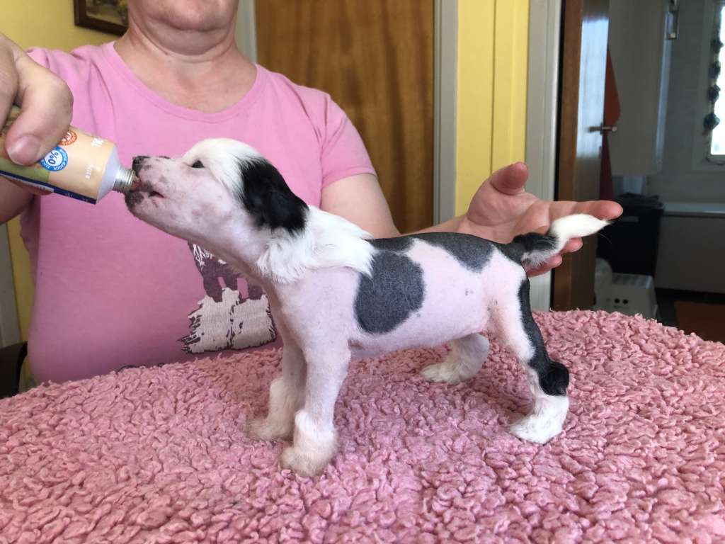 Yrar Go Back To China