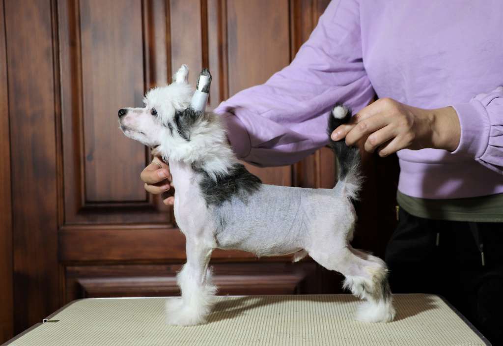 Just beautiful z Valdorfskych lesu