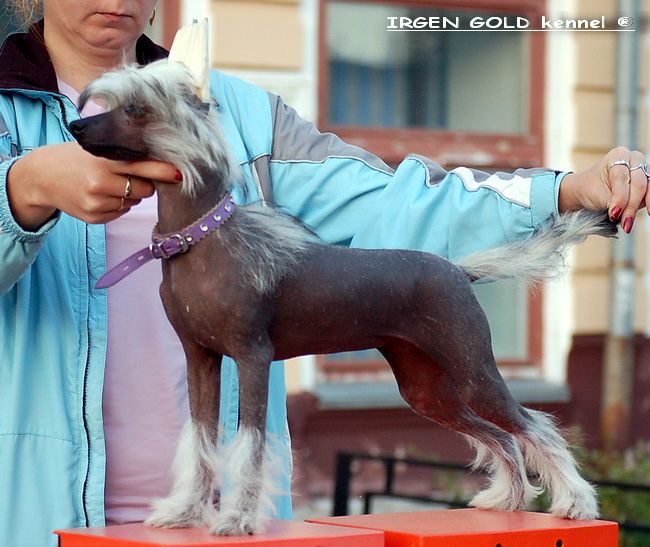 Irgen Gold Yaroslavna