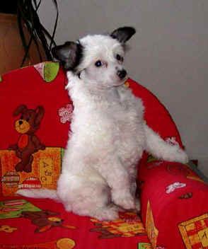 Sun Dan Almost An Angel