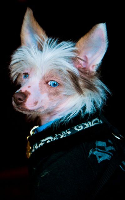 Dancing Wolf River Runs Blue