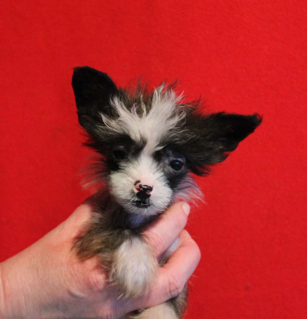 Happy Dancing Another Beauty