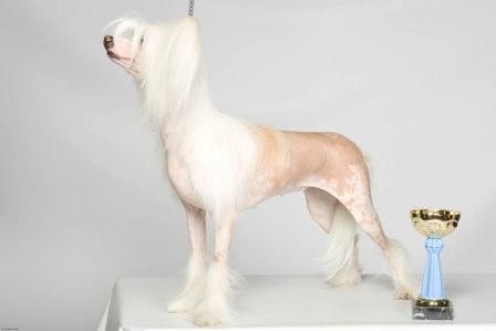 Olegro Katrin  Legendary Blondy