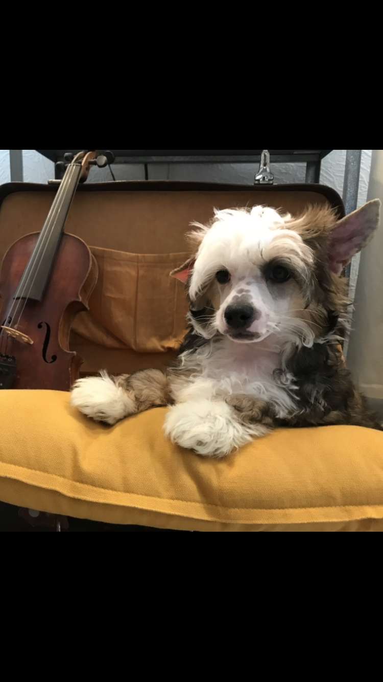 Archer Like Ice in the Sunshine