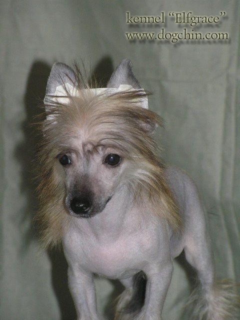 Elfgrace Essineros Elborado