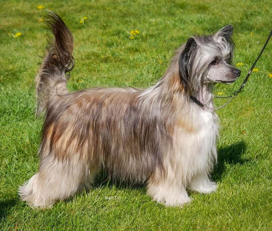 Exxiino's Exxtra Wi-Fi