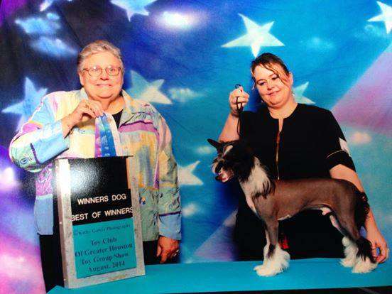 Forseti's Gorgeous Whatever