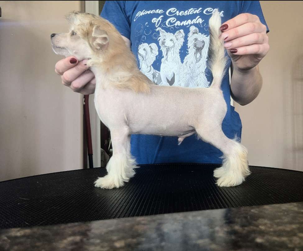 Denali's Louis Vuitton