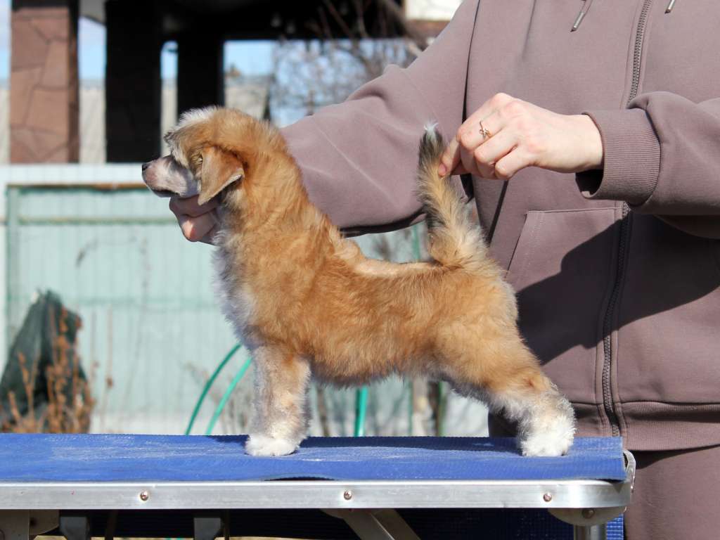 Via Della Seta Nightglow