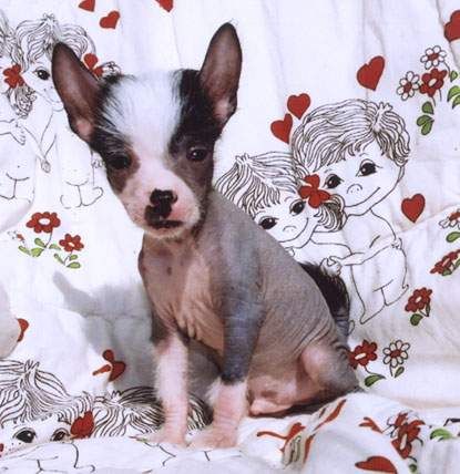 Joyway's End Of Loneliness