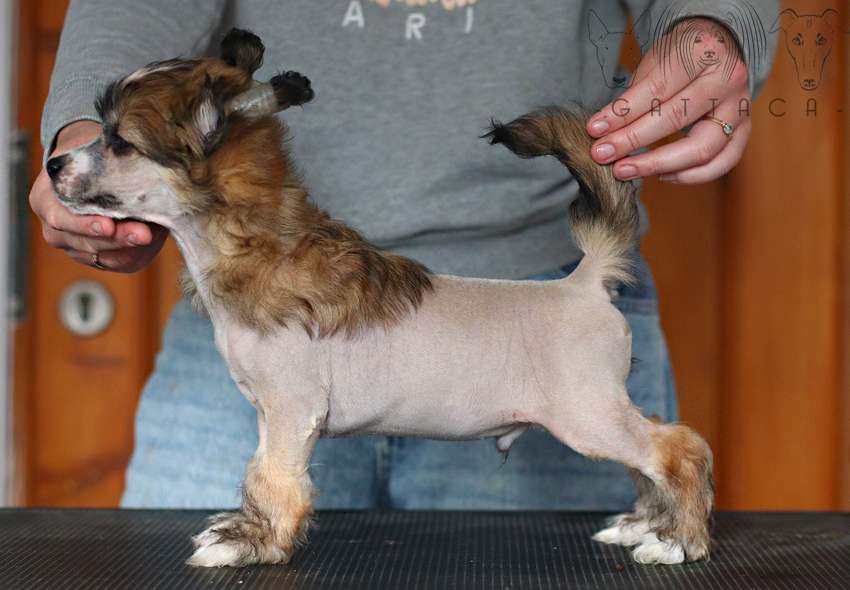 Sex On The Beach Gattaca