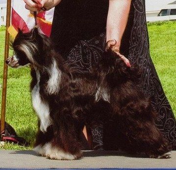 Show Me Da Money N'co