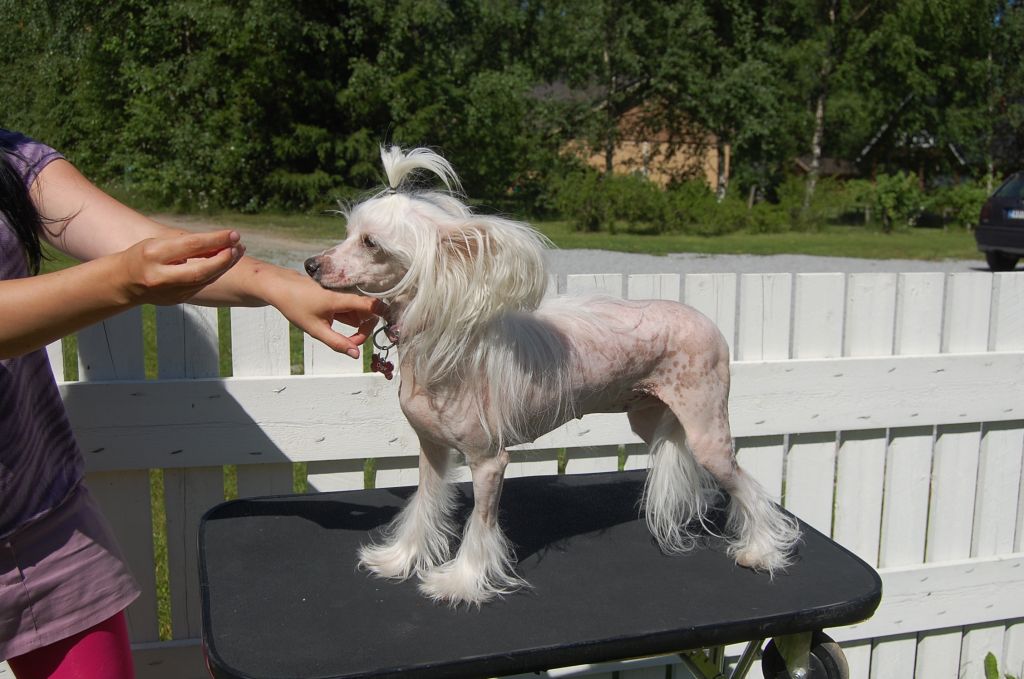 Pinky Twinky Darling Please