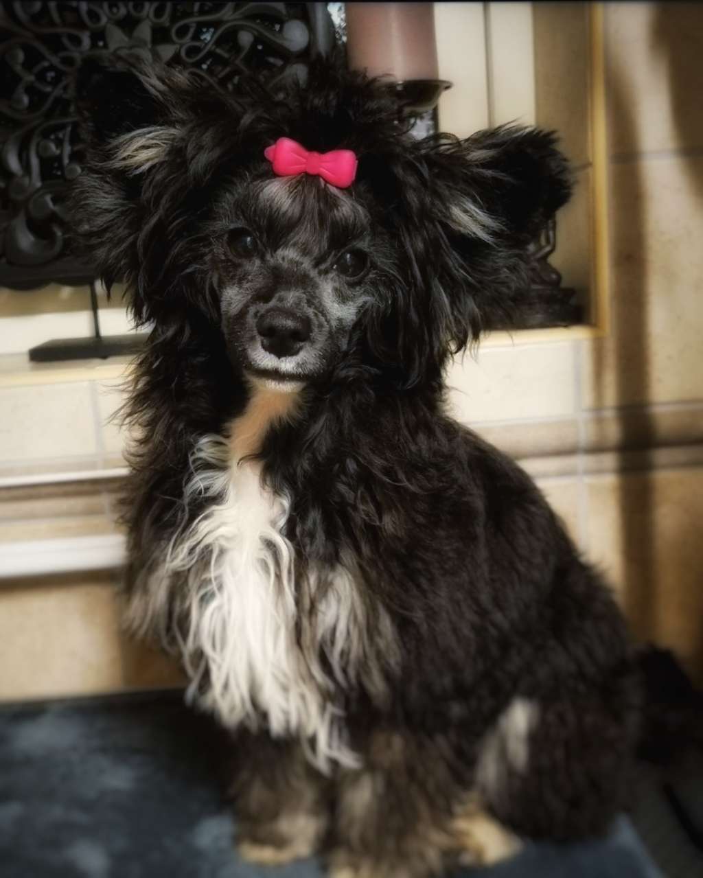 Exxiino's Eeny Meeny Miny Moe