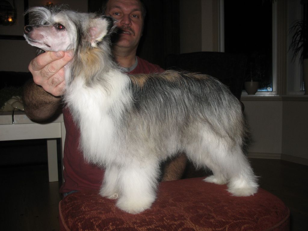 Zaffe's Juana Mirabella