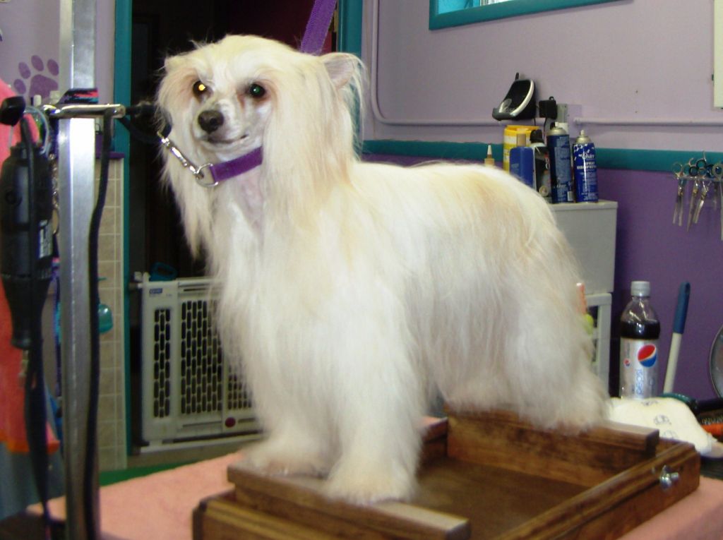 Kotickee She's All That At Chikita