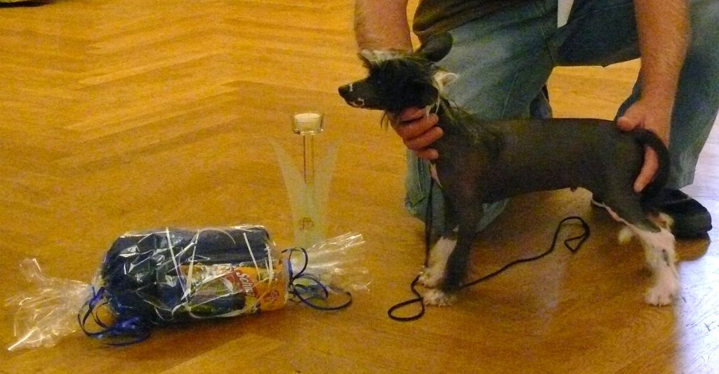 Lennox von Shinbashi