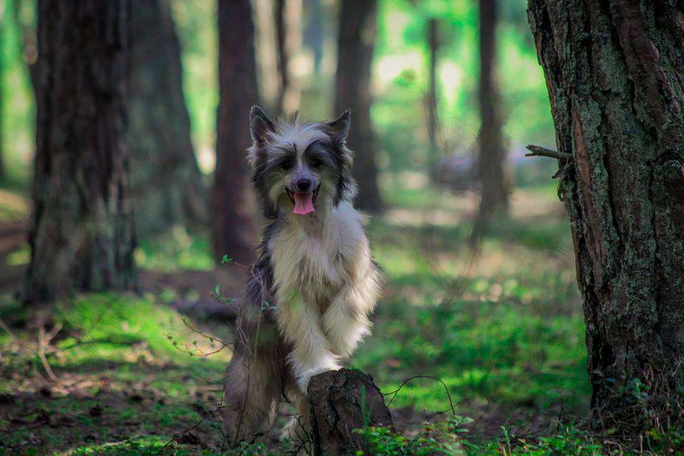 MONA z Gwiazd Kasjopei