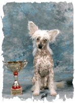 French Kiss von Shinbashi