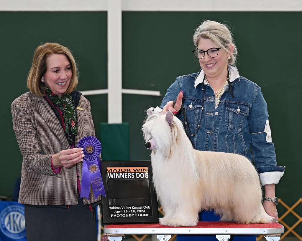 Candela MyAngel Who's Next At Silkyence