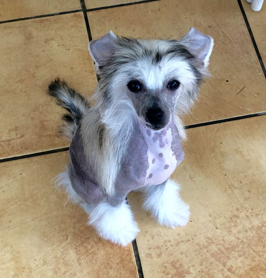 Manhatten von Shinbashi