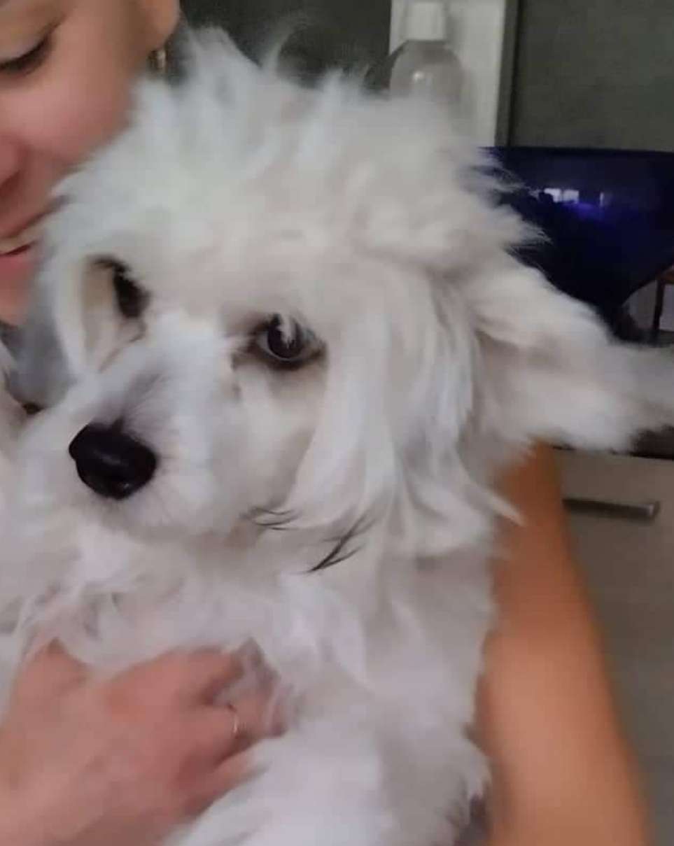 Chupa Chups z Jaromerskeho panství