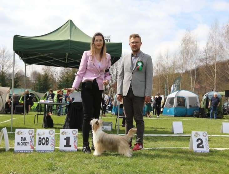 X-mas In June Juna Dogs Fci