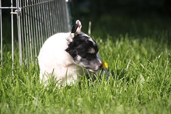 Aquacrest Everybody's Talkin'