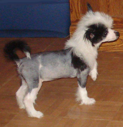 Serenity Exotic Beauty