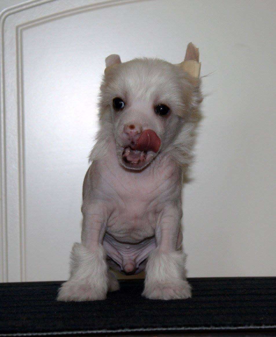 Viuvaun I Better Ask Mom